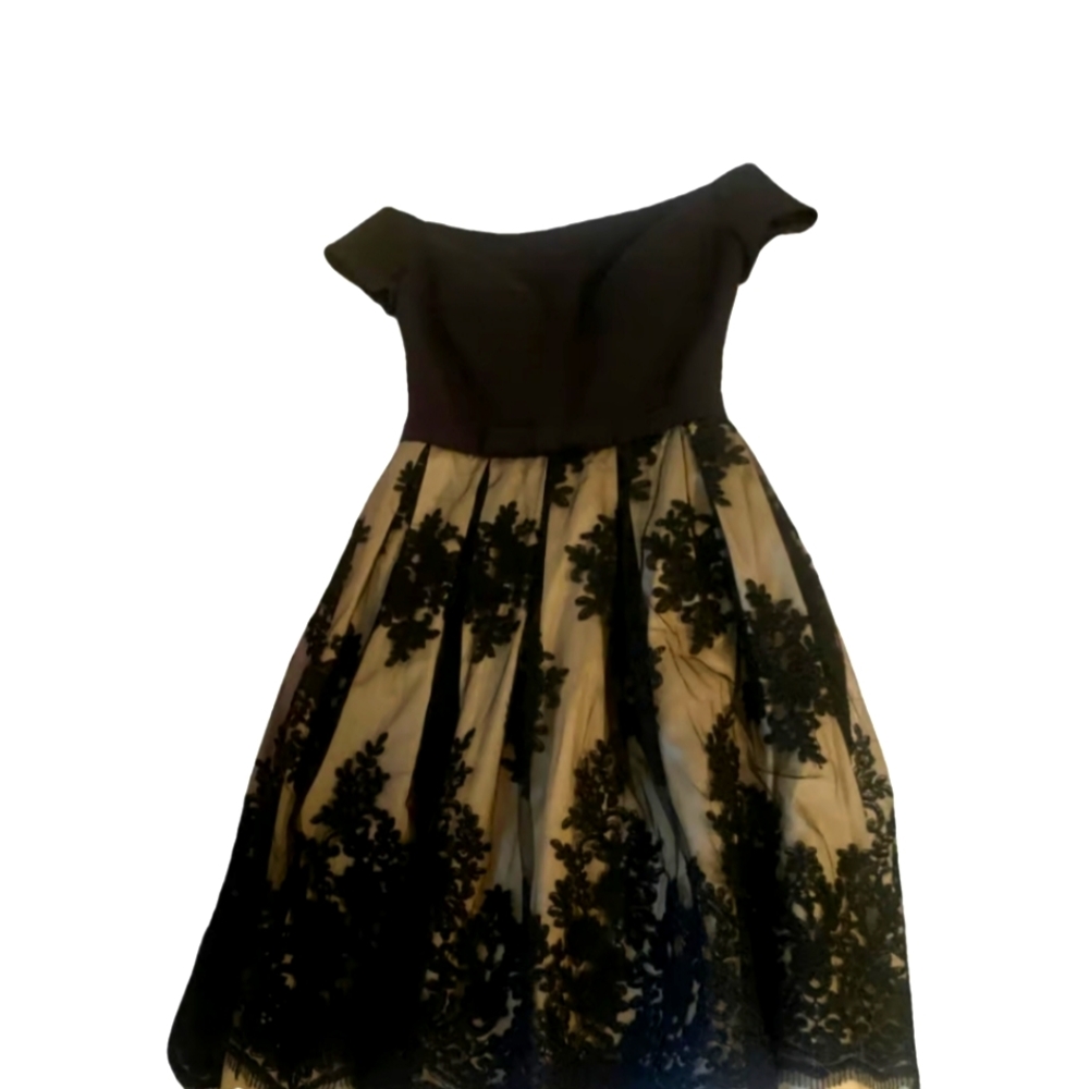 Eliza J formal lace dress with beading